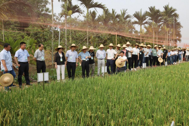 圖片3(1).png 圖片3(1).png